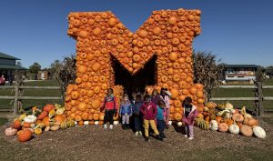 Exploring Fall Together in Early Learning